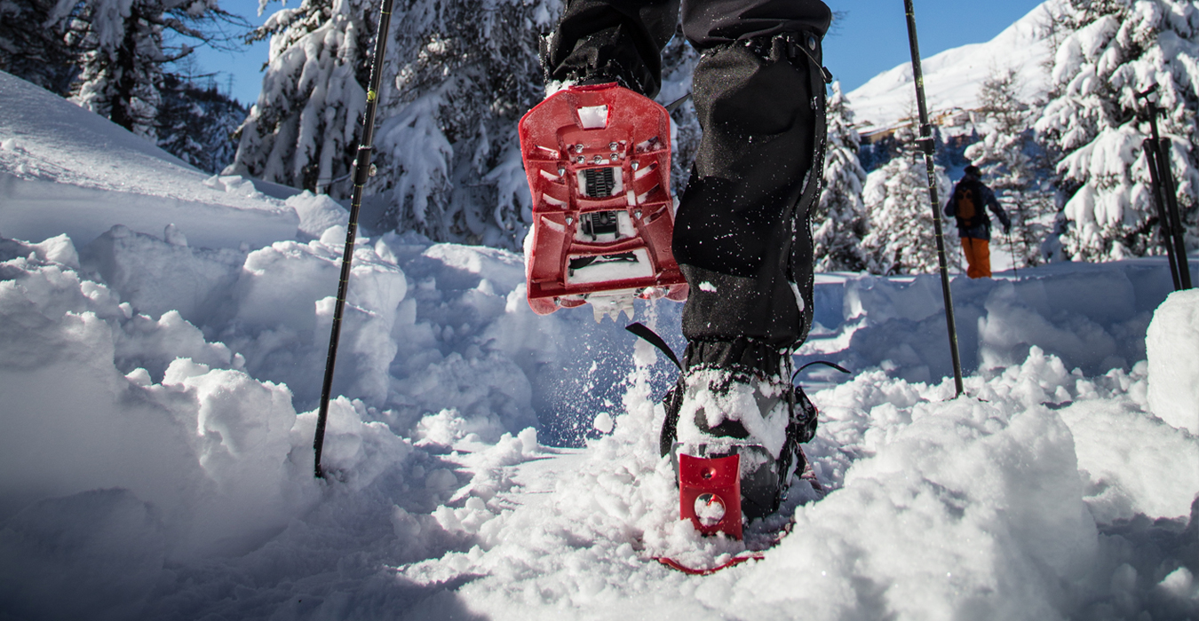 Schneeschuhwandern, Langlaufen und Bergsteigen im Val di Sole - Trentino