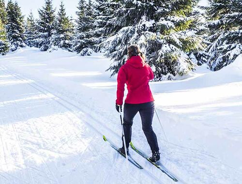 Cross-country skiing in Val di Sole