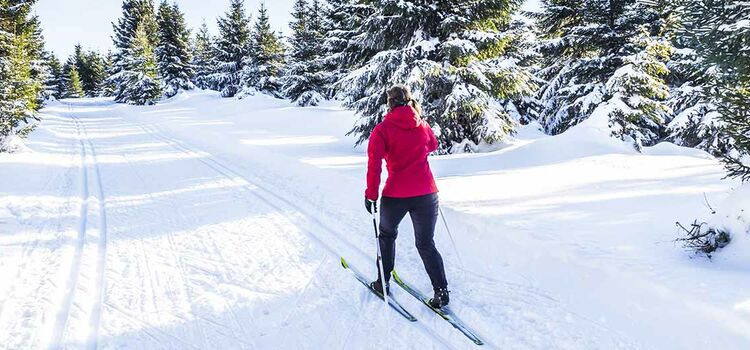 Cross-country skiing in Val di Sole | Active Hotel Gran Zebrù