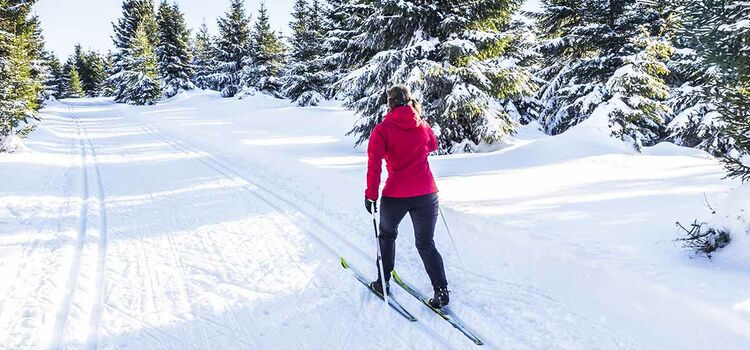 Sci fondo in Val di Sole  | Active Hotel Gran Zebrù